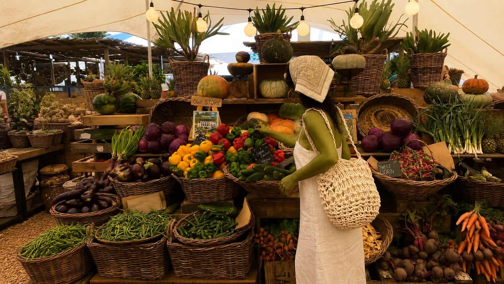 Where to Buy Groceries in Cape Town