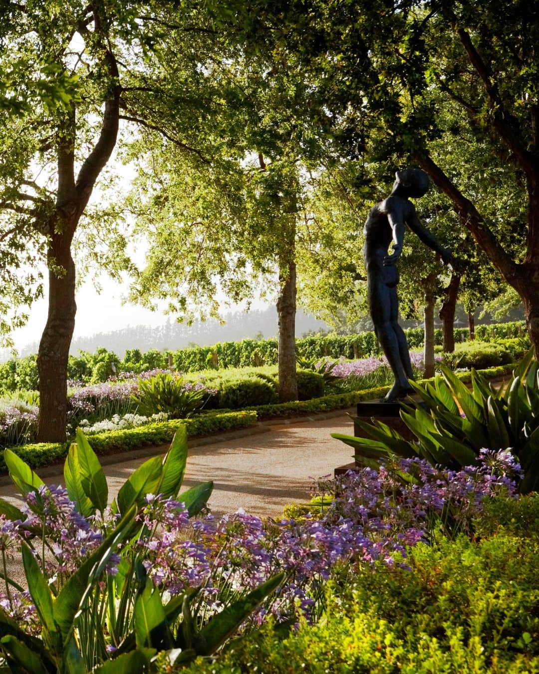 Delaire Graff Estate