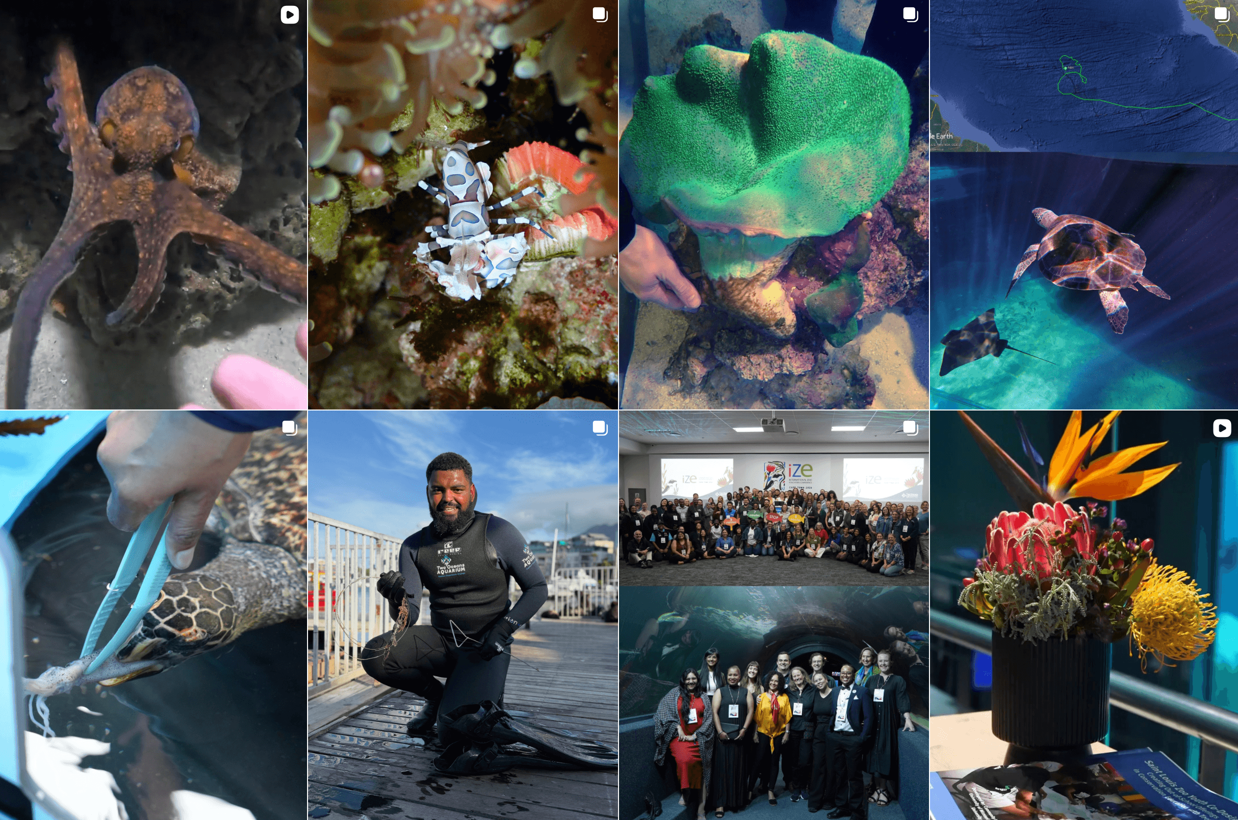 Two Oceans Aquarium