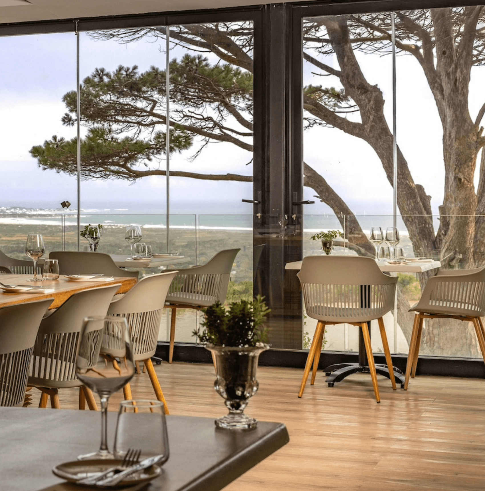 Cape Point Vineyards