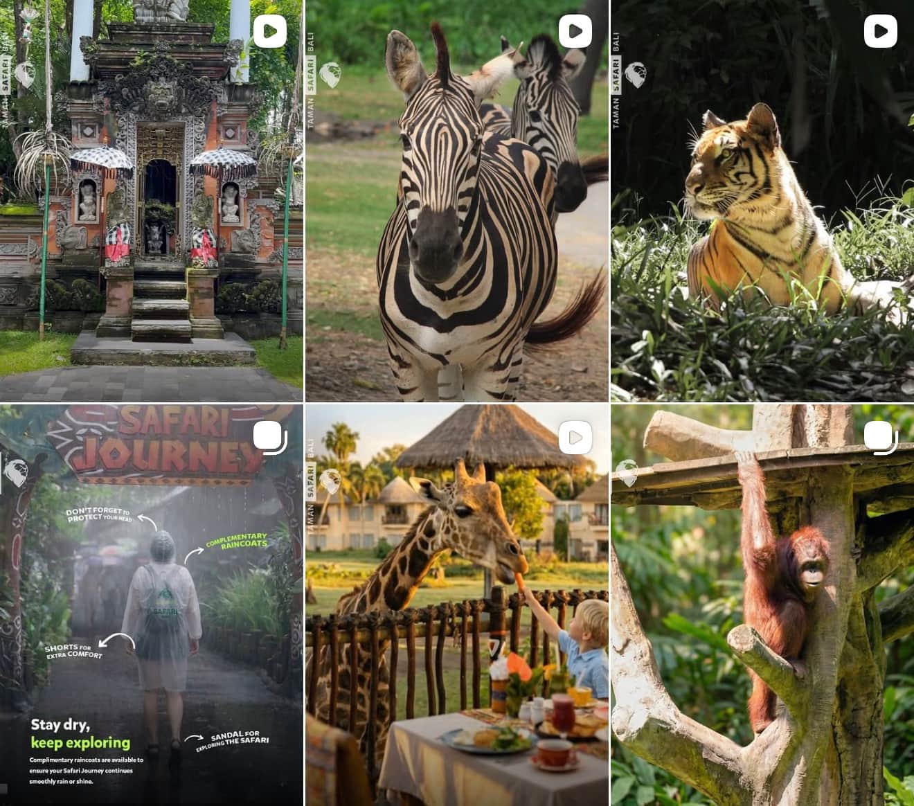 Bali Safari & Marine Park
